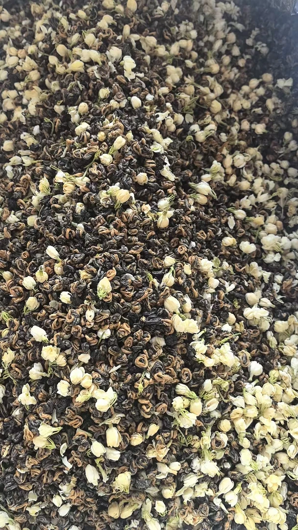 【龙哥私房茶】茉莉古树金螺  2025年滇红散茶