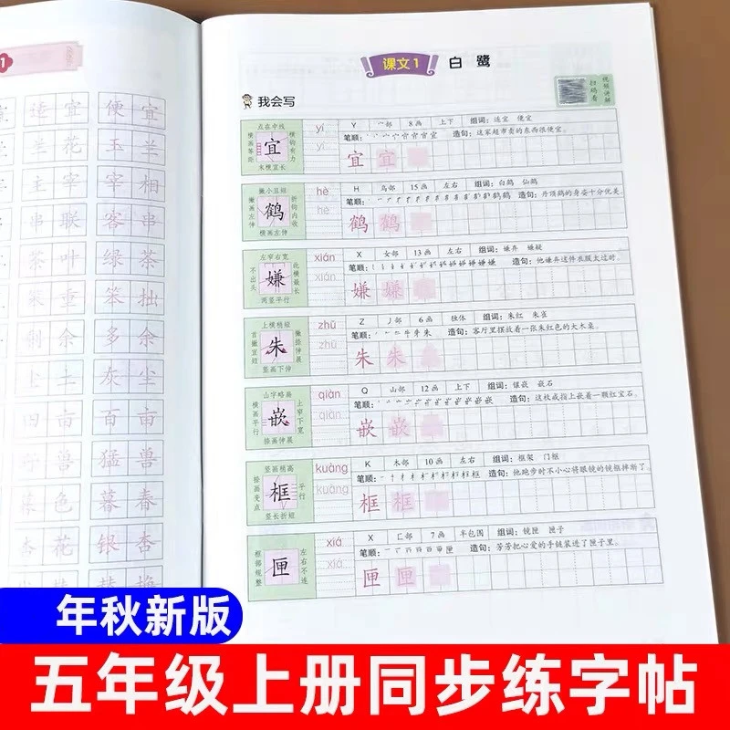 2024版五年级上册练字帖语文教材配套生字抄写本人教版钢笔字帖