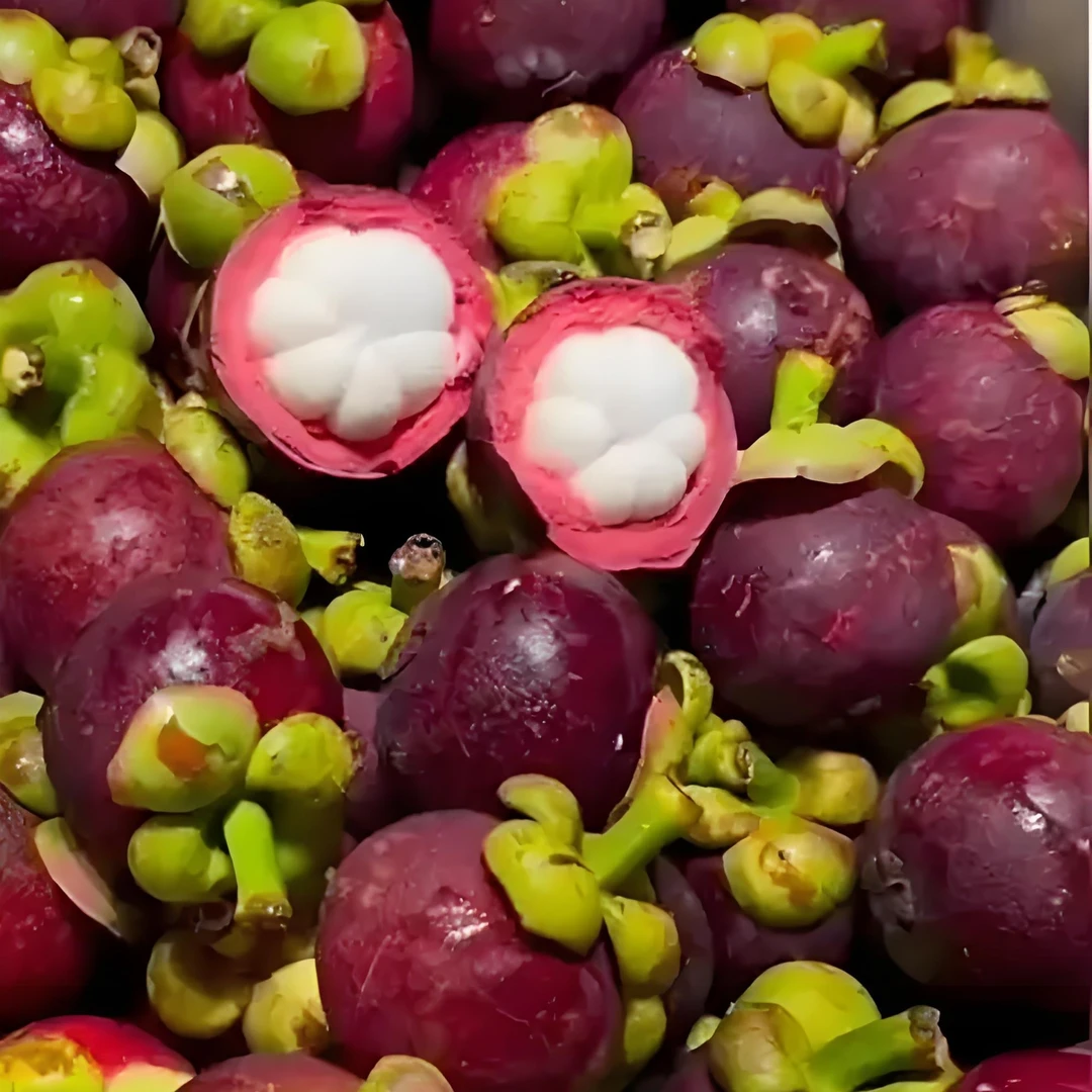 西安新鲜泰国老树山竹 3A 6A甜度高水分大 3斤 5斤 顺丰包邮次日达 雨润批发