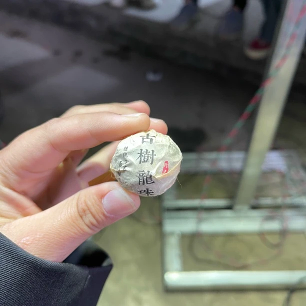 2024年亥公大树春茶龙珠 12月31【17号】