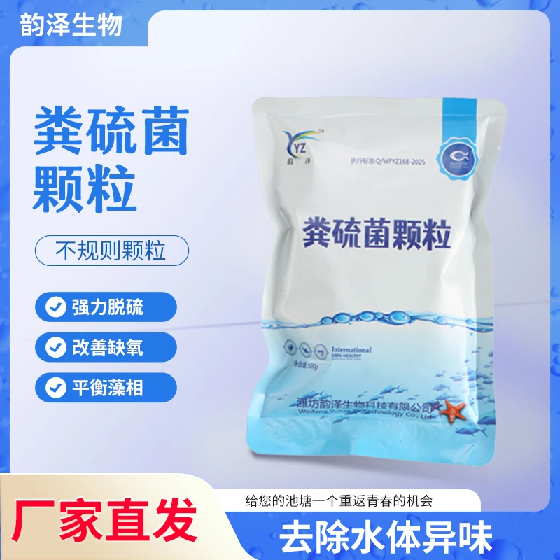 粪硫菌颗粒水产专用改底除臭改善缺氧平衡菌藻降硫化氢氨氮亚盐