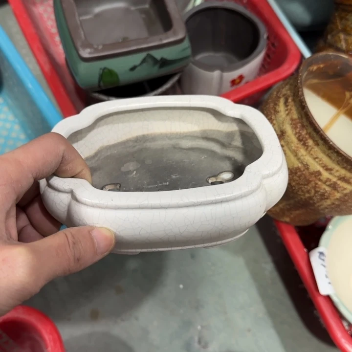 《所有单满15发（花盆）》14×11×4