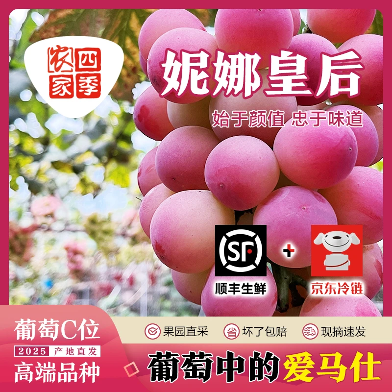 【妮娜皇后】正宗无籽红提葡萄浓香酒香脆甜新鲜现摘礼盒顺丰包邮