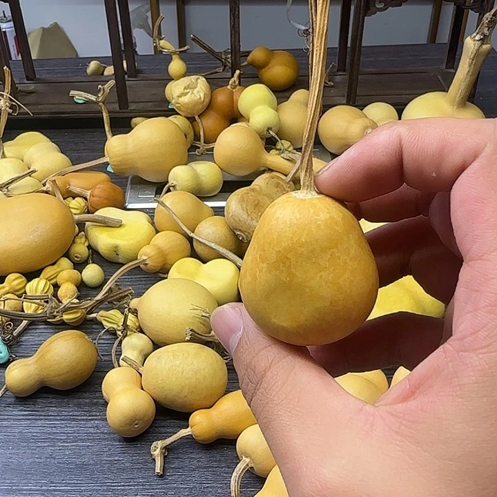 葫芦葫芦葫芦葫芦