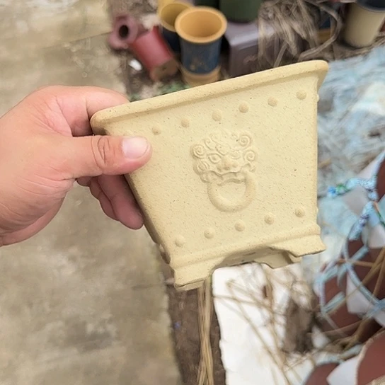 是一个集休闲农业的休闲胜地以及现代