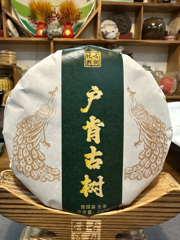 2024年冰岛茶区坡脚户肯老寨头春头采古树普洱生茶