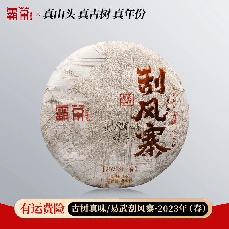 霸茶 刮风寨茶王树2023年春 普洱生茶 200克/饼