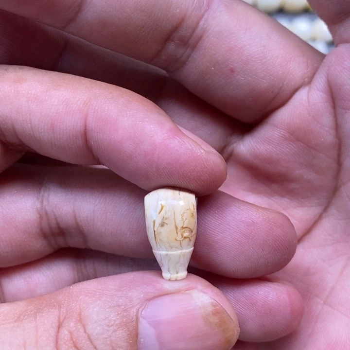 z***z琥珀未镶嵌裸石三通
