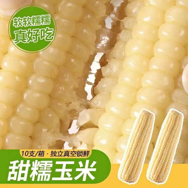 【25年头茬大棒6斤】新玉米白糯玉米东北软糯香甜（试吃两根）F