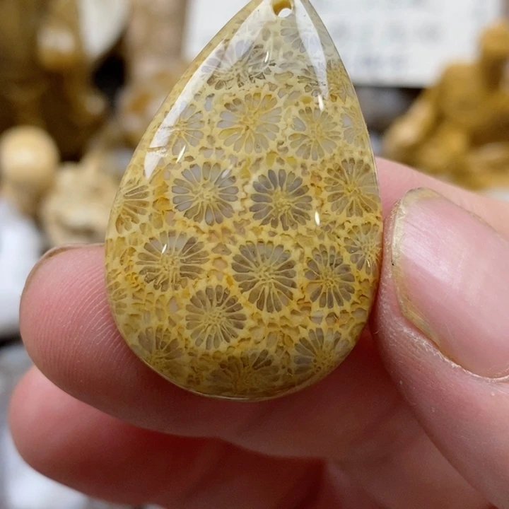 颈饰未镶嵌硅化珊瑚（珊瑚玉）