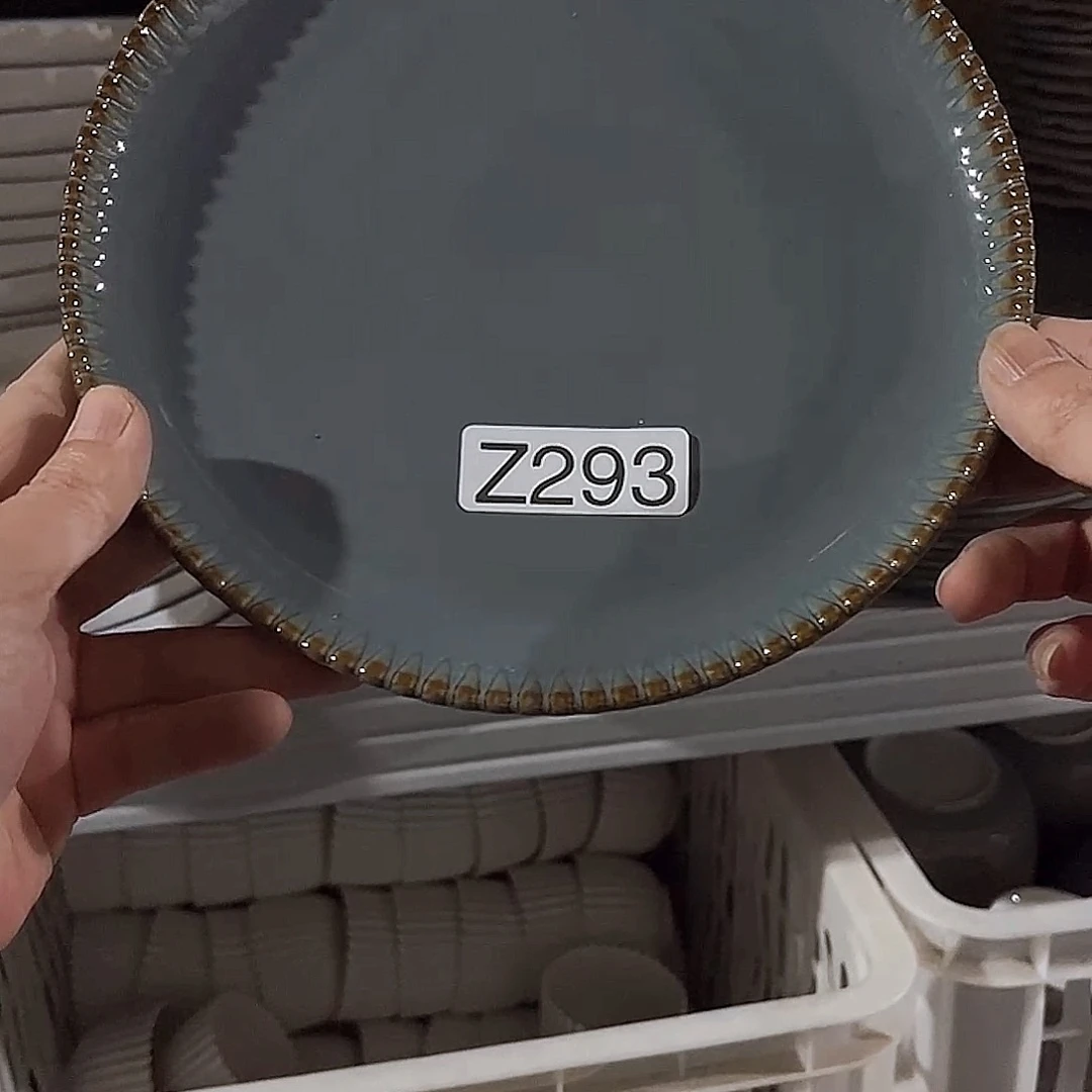 瓷片293         4个