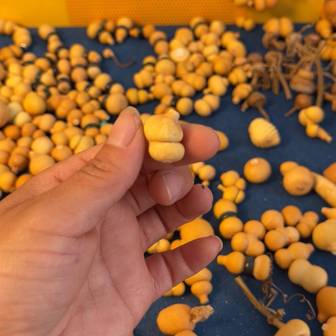 葫芦葫芦葫芦葫芦