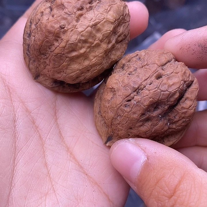 文玩核桃把件   82