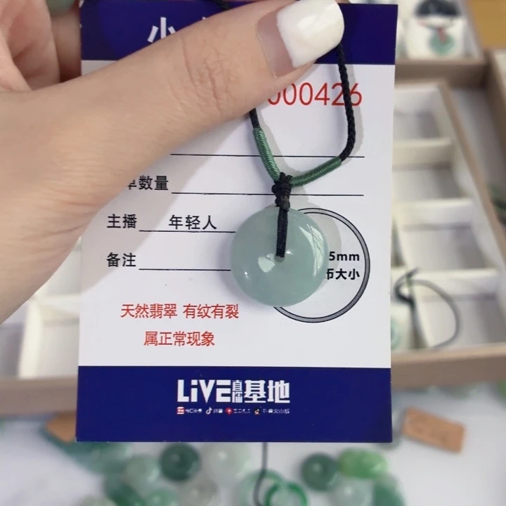 Y***-翡翠未镶嵌颈饰11