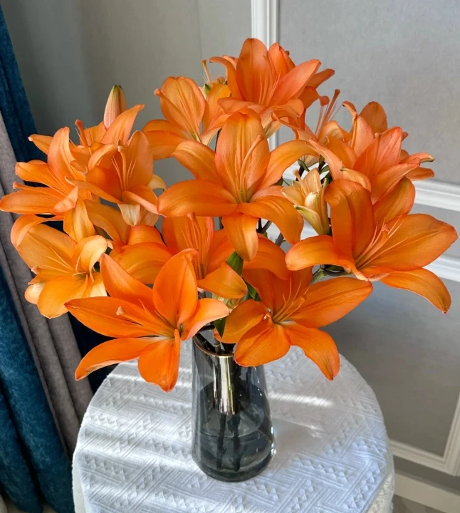 【杨苏莹花房】橙色梦想亚百合 云南鲜花直发一单顺丰冷链两单空运