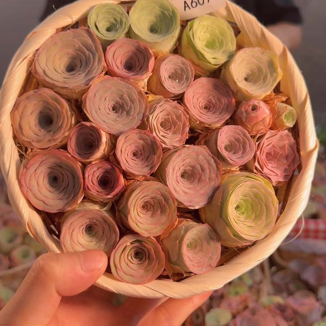 娜***子A607 竹编圆篮玫瑰组合