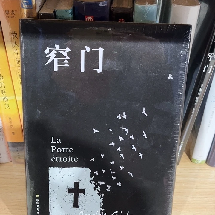 窄门全新精装正版
