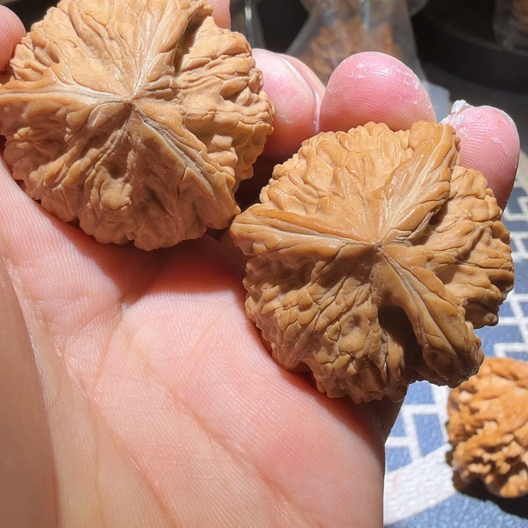 文玩核桃吊坠御龙三棱