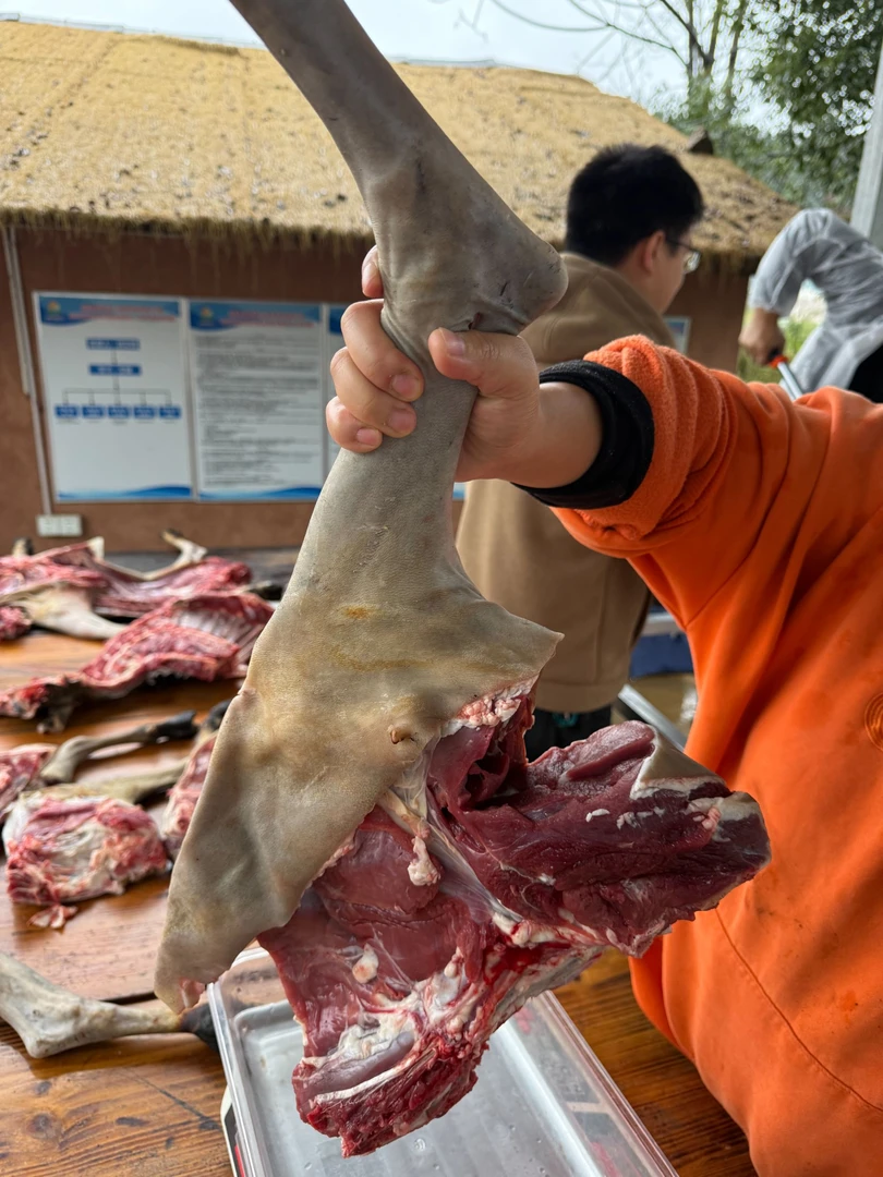 【羊后腿】称重湖南本地黑山羊散养跑山羊肉 一物一称 顺丰冷链