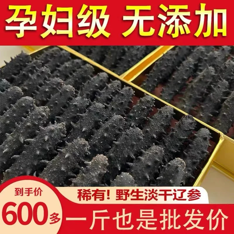 大连九年 六排刺 辽刺参 底播海参一斤装/500g