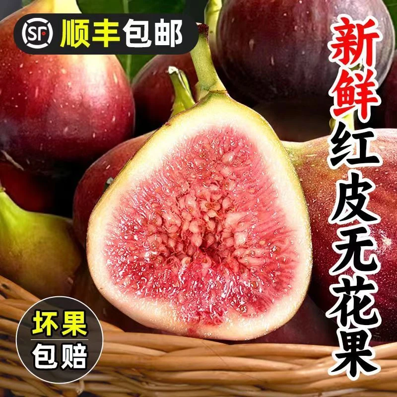 【顺丰包邮】云南红皮波姬红无花果新鲜现摘现发当季清甜无花果鲜果