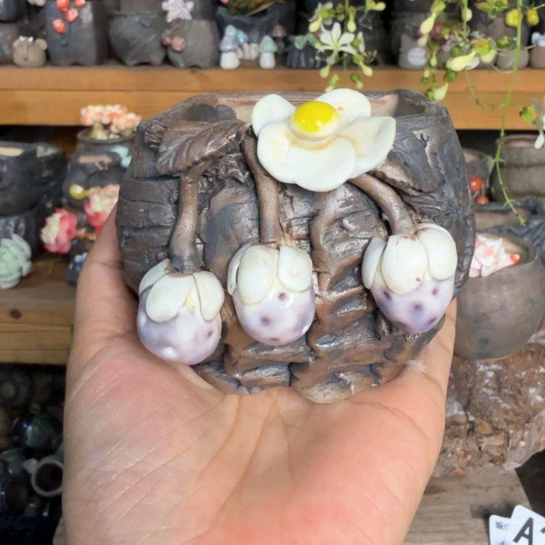 重庆小燕子欢迎大家