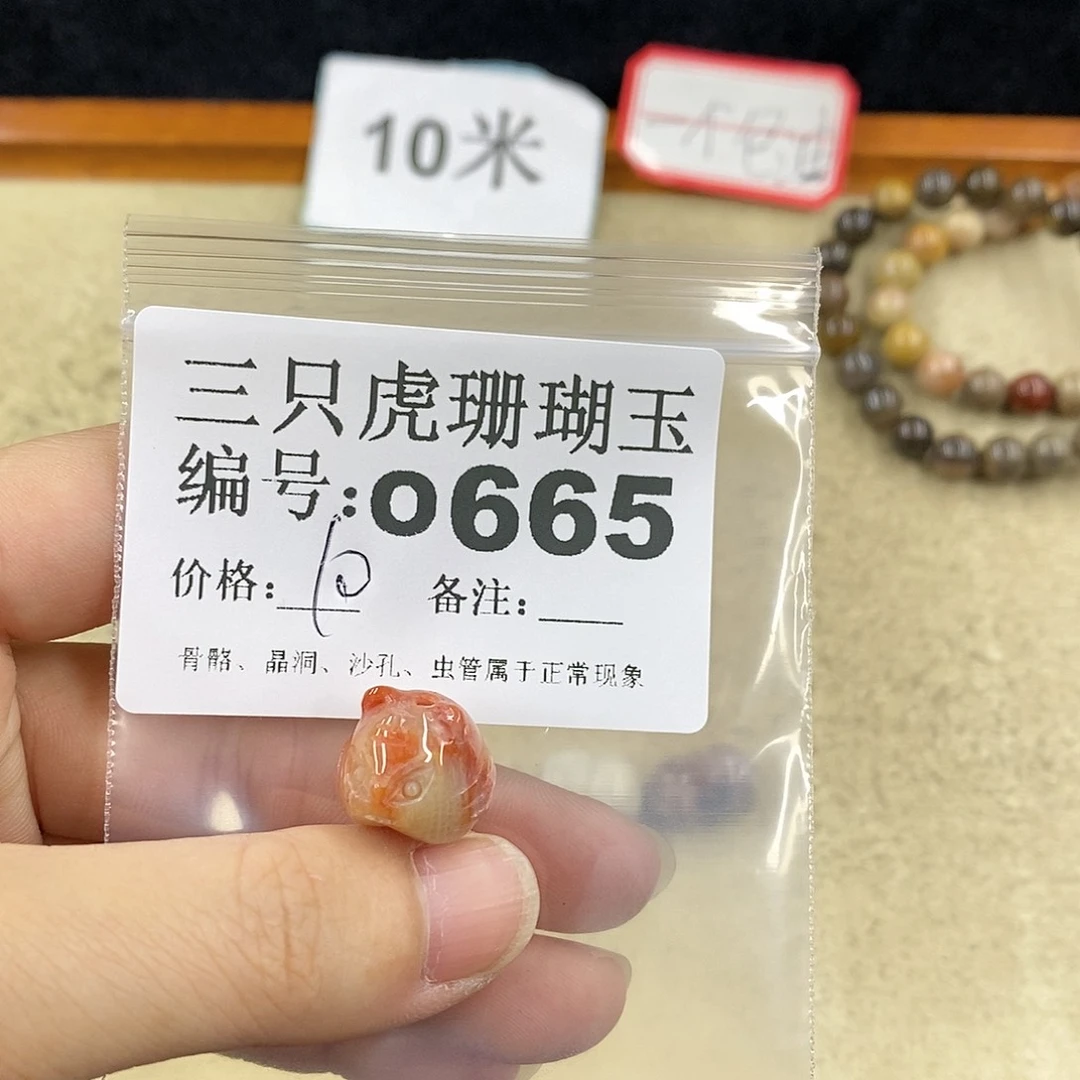 硅化珊瑚（珊瑚玉）1未镶嵌知**6