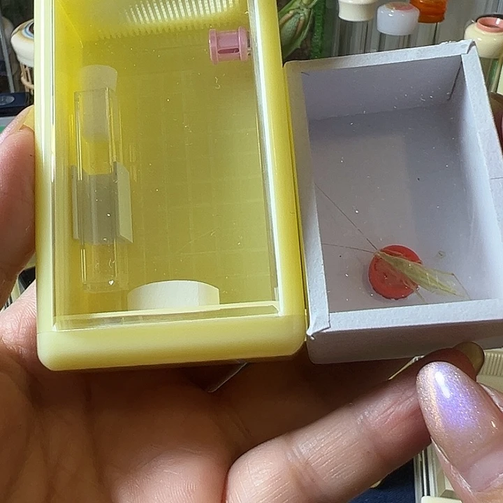 用***6蟋蟀哈哈哈哈哈哈哈哈哈哈
