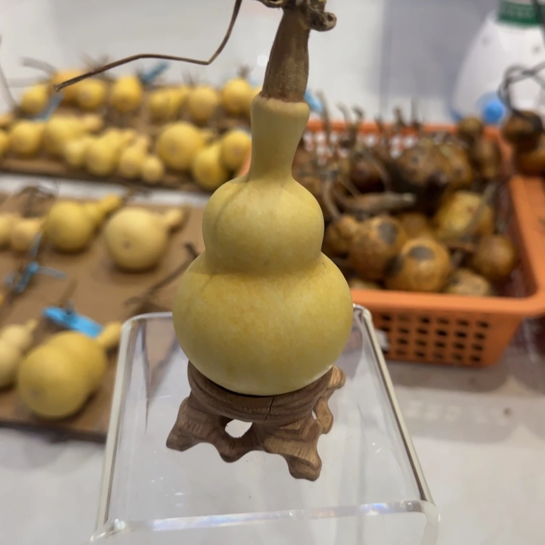 葫芦咯偶涂抹来咯哦哦乐乐了