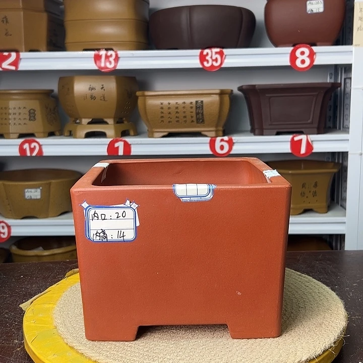 花盆紫砂你在一起