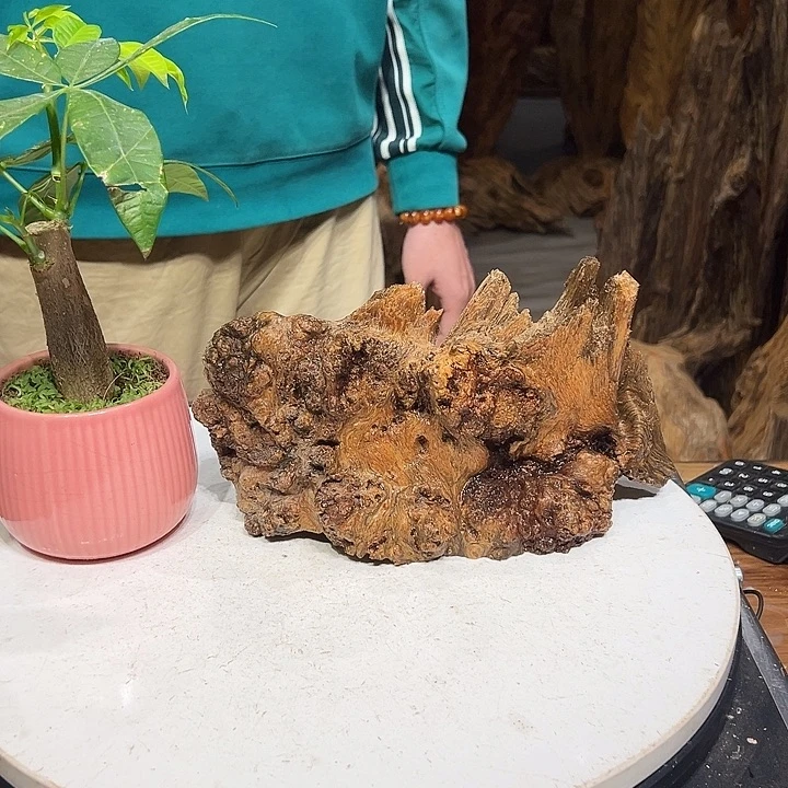 松木（琥珀木）_****_