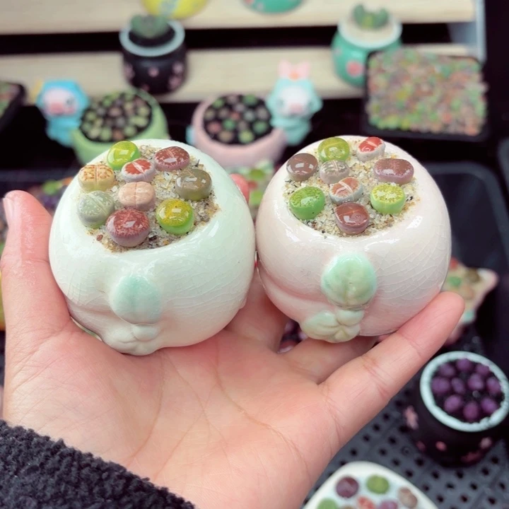 630零下地区记得拍保温箱