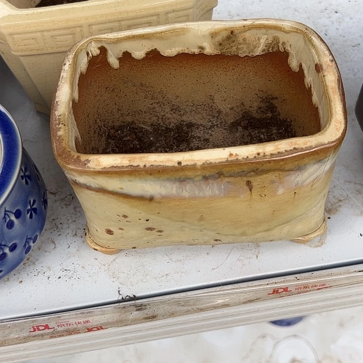 甜***畏手捏长方盆盆盆盆盆