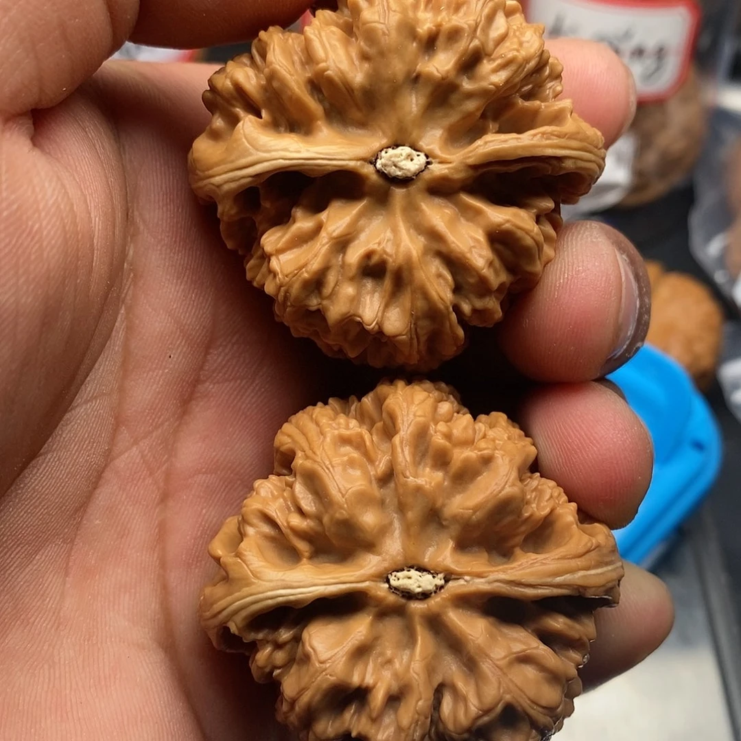 文玩核桃把件滴*溜粗筋48