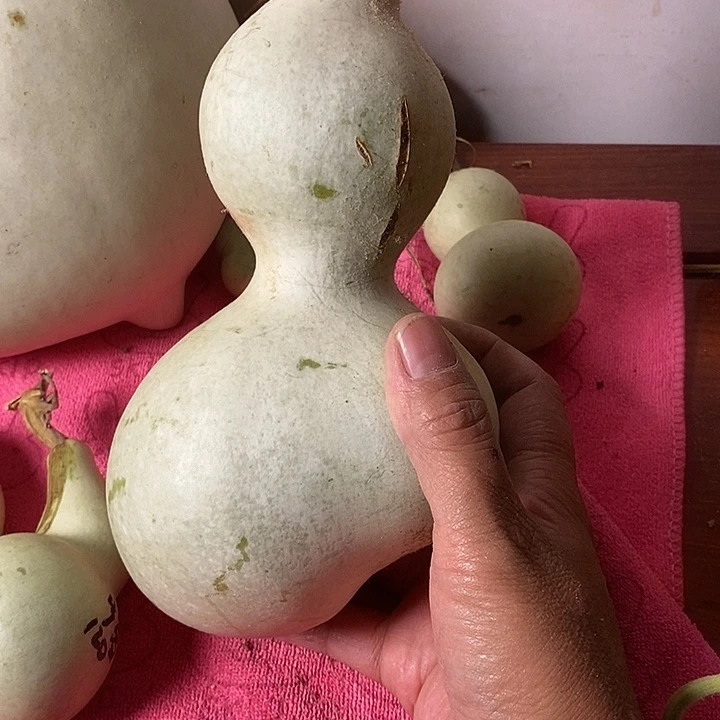 乔***琳青皮腰子葫芦手把件