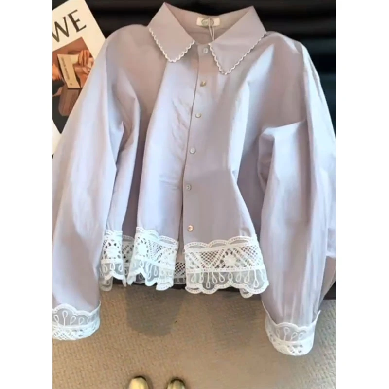 2025秋季新款修身简约百搭显瘦气质时尚高级感花纹蕾丝边长袖上衣