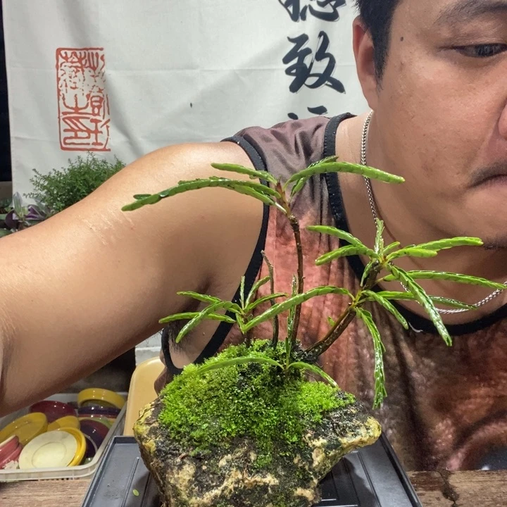 亦*一物一拍所见即所得157
