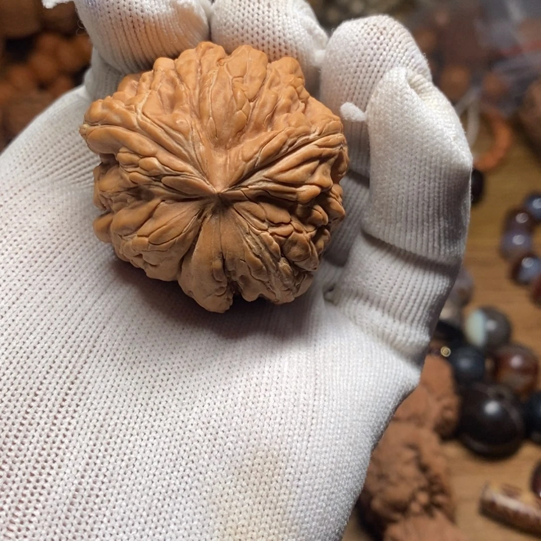 核桃手串/手链蛇蛇