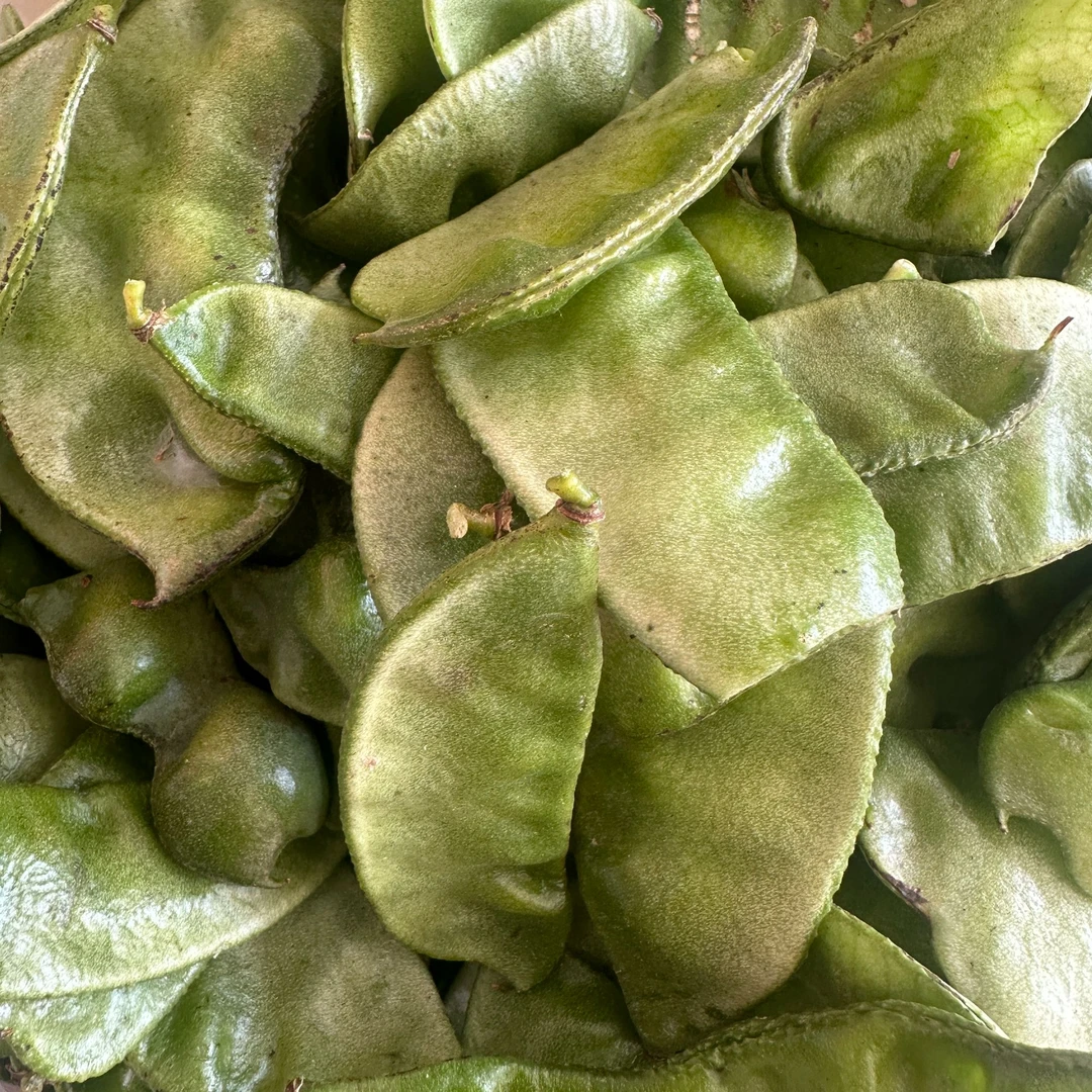 【梅豆】农家自种梅豆