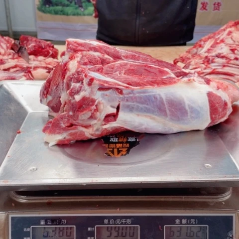 【闪购商品】冷冻保存30天包装河北省