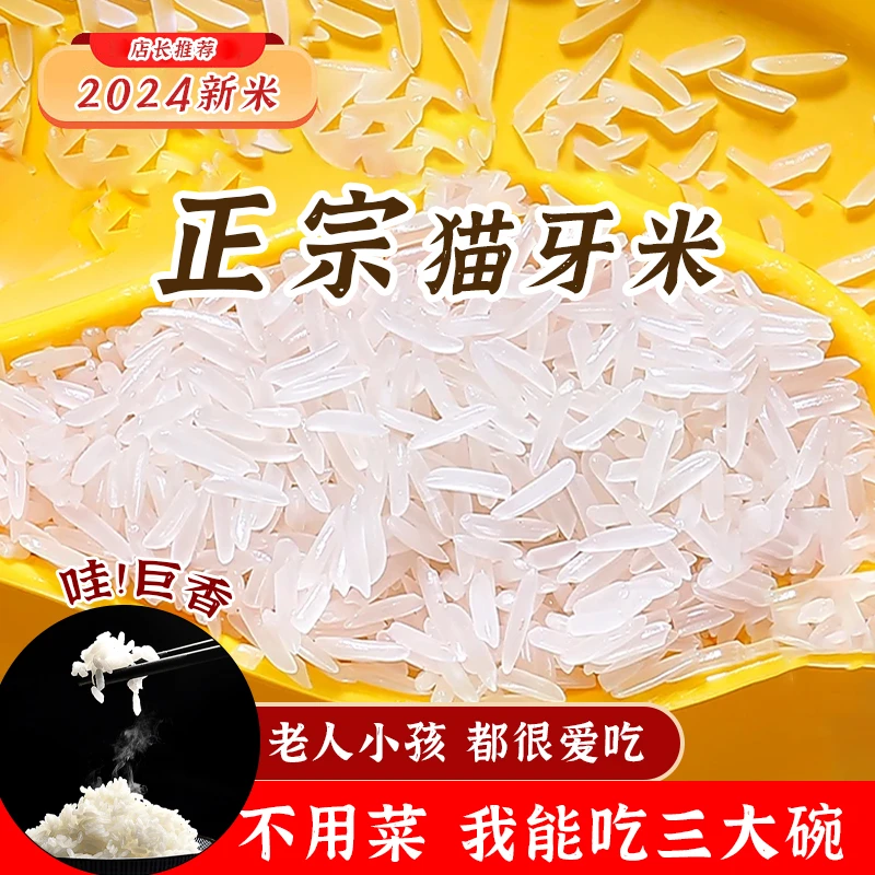 正宗2024年新米优质猫牙米不抛光农家自种正宗长粒香大米5kg装