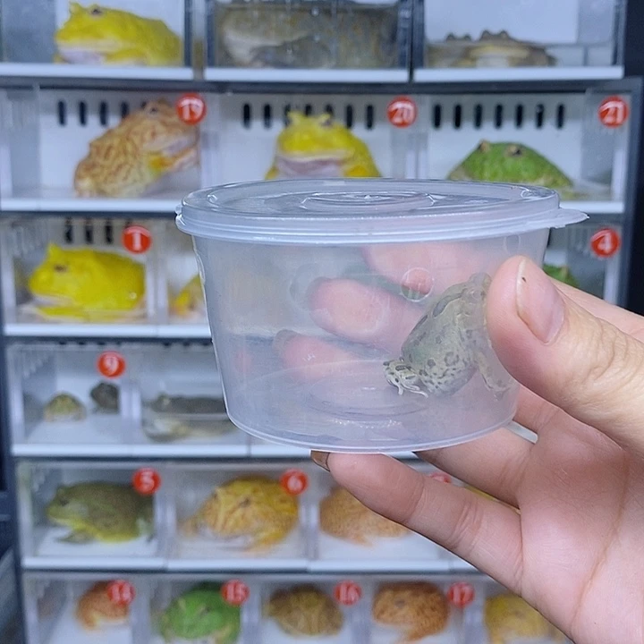 特价秒杀现货特价残