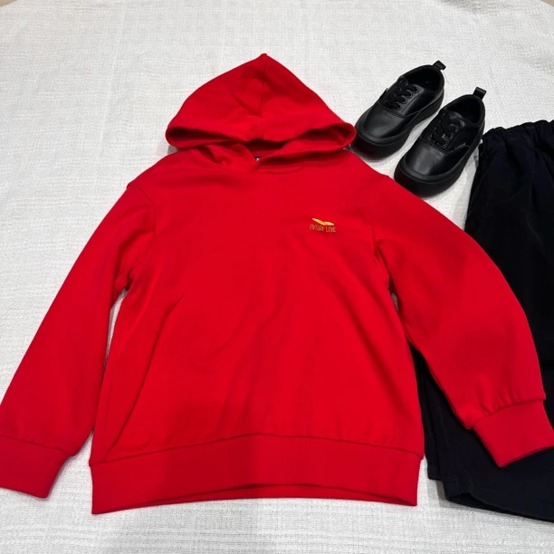 10309高端童装时尚百搭秋冬新品时尚连帽卫衣B6-5-2