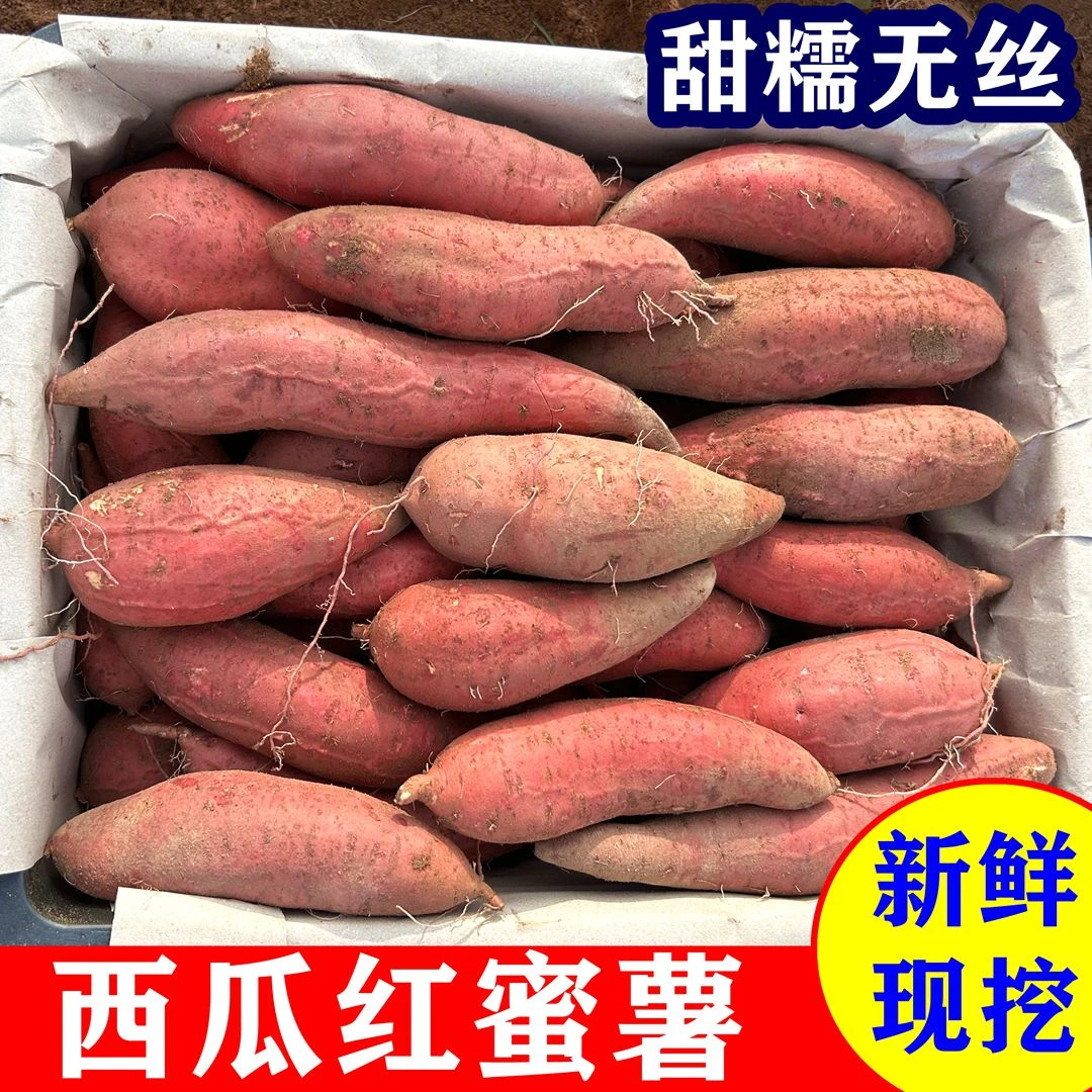 【当季鲜货】西瓜红蜜薯新鲜农家自种沙地番薯红心地瓜软糯香甜皮薄