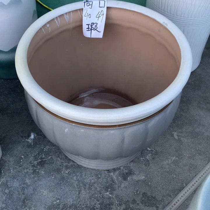 花盆里栽松 瑕疵微 一物一拍