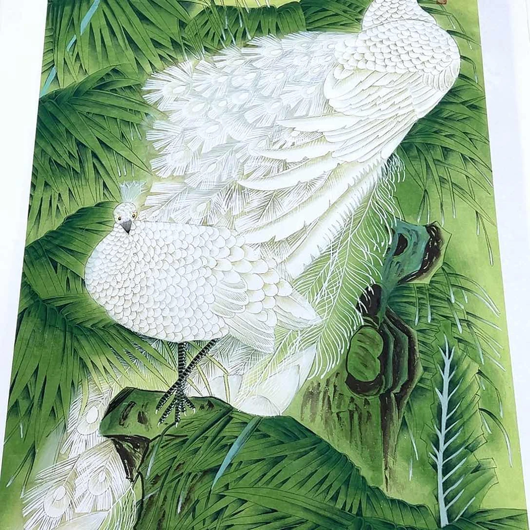 横款惊喜不断啊哈哈啊哈哈