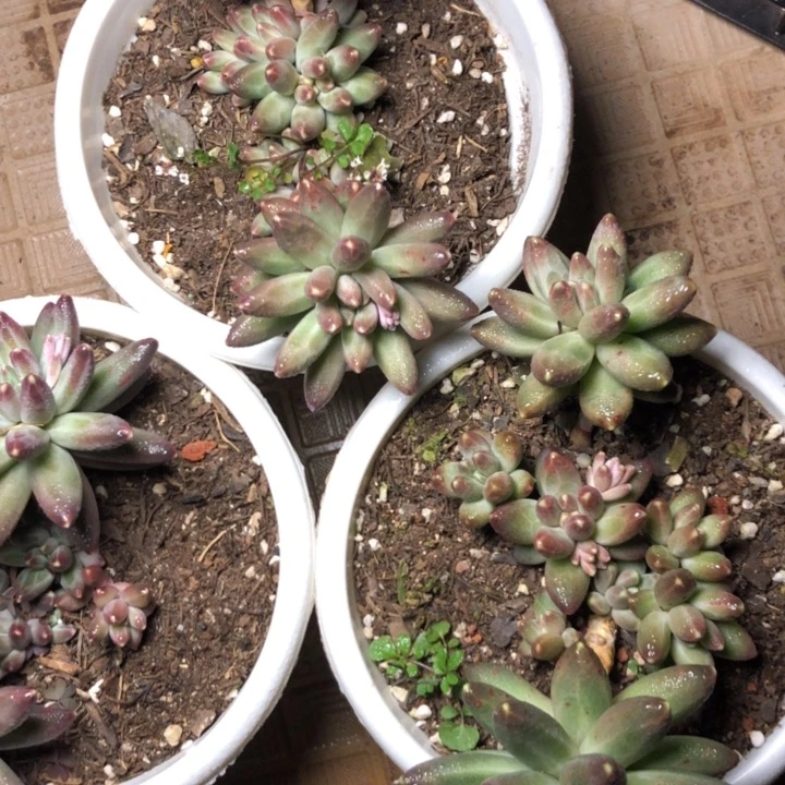 10//////////////////