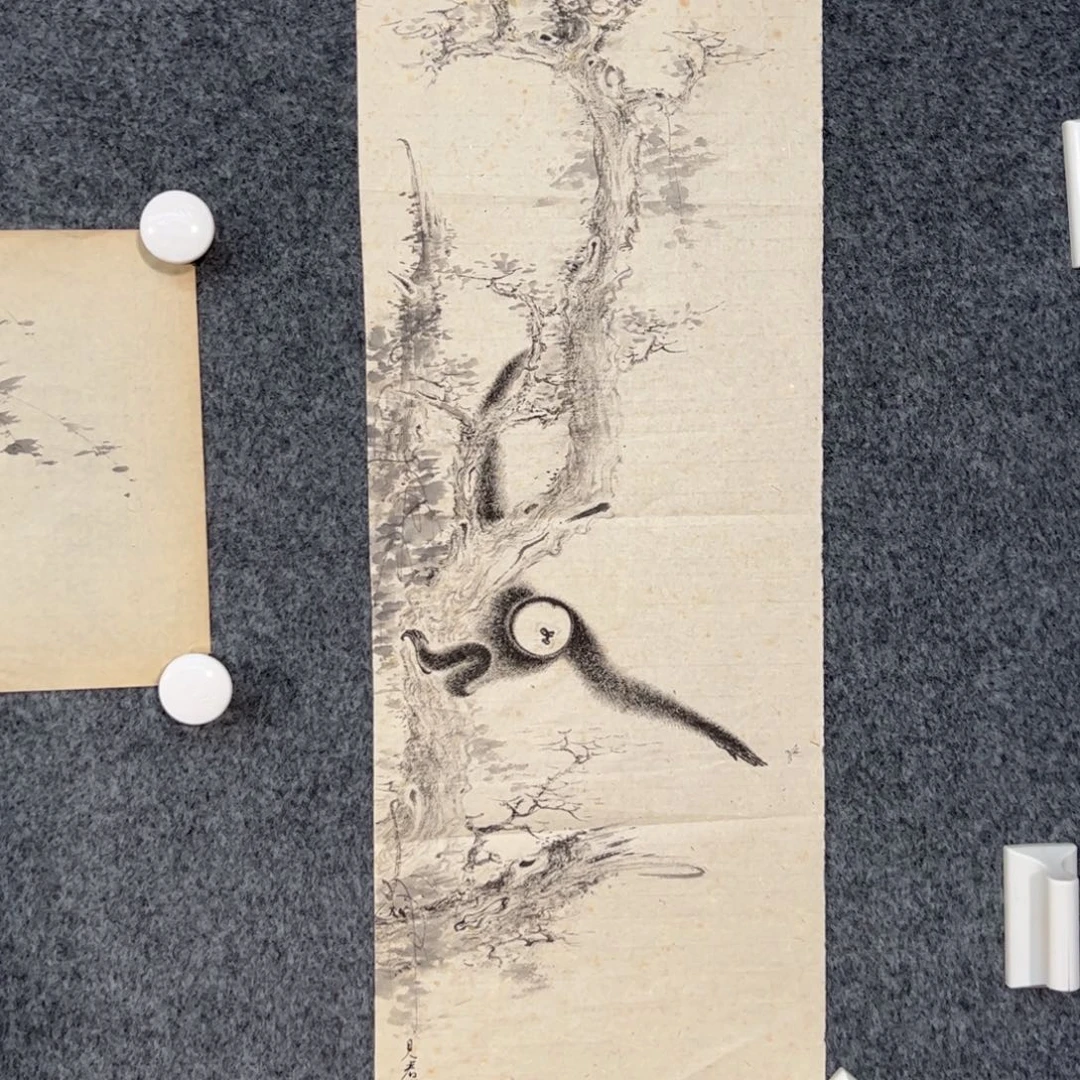 国画（g86536）猿猴 书画