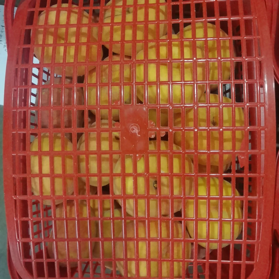 多种水果适用的带盖塑料采摘水果篮