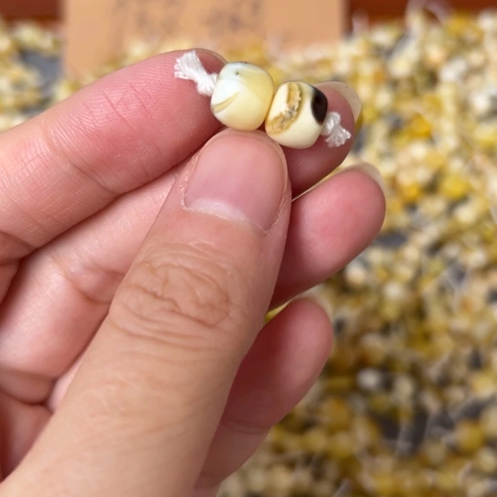 蜜蜡未镶嵌裸石8.5mm一对